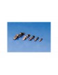 Lip brown metal 14mm (10pcs)