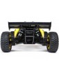 Losi 1/5 DBXL 2.0 4WD RTR Icon