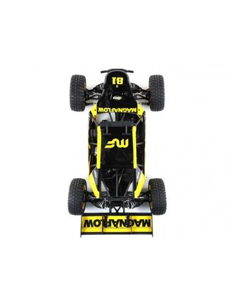 Losi 1/5 DBXL 2.0 4WD RTR Icon