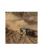 Losi 1/5 DBXL 2.0 4WD RTR Magnaflow