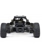 Losi 1/5 DBXL 2.0 4WD RTR Magnaflow