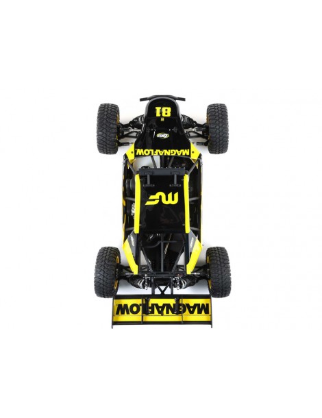 Losi 1/5 DBXL 2.0 4WD RTR Magnaflow