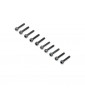 Cap Head Screws, M2x10mm (10)