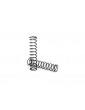 Traxxas Springs, shock (natural finish) (GTX) (1.199 rate) (2)