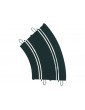 SCX Standard Curve Track (2)