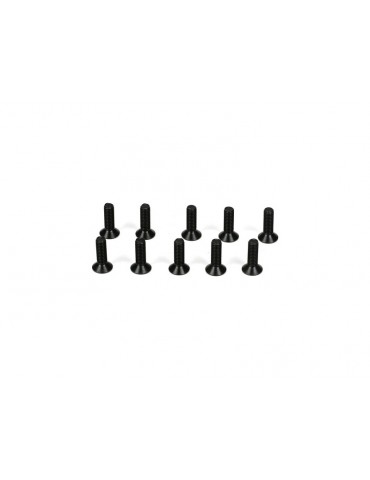 Flathead Screws, M3 x 10mm (10)