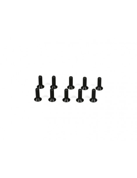Flathead Screws, M3 x 10mm (10)