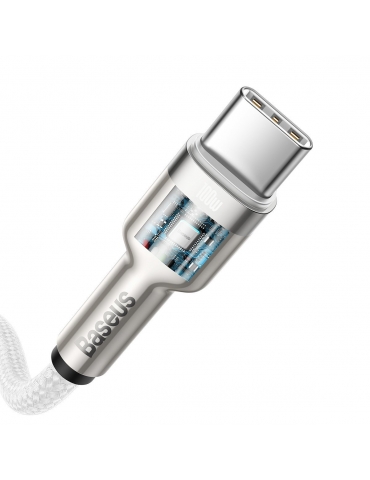 Kabelis Baseus Cafule Series Type-C Į Type-C 100W 2m.