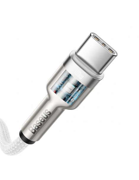 Kabelis Baseus Cafule Series Type-C Į Type-C 100W 2m.