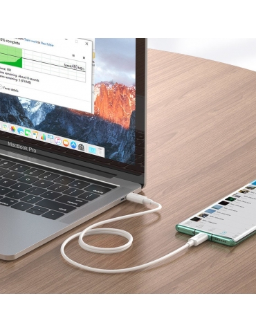 Kabelis Baseus CATSW-D02, 2 x USB Type C, 1.5 m