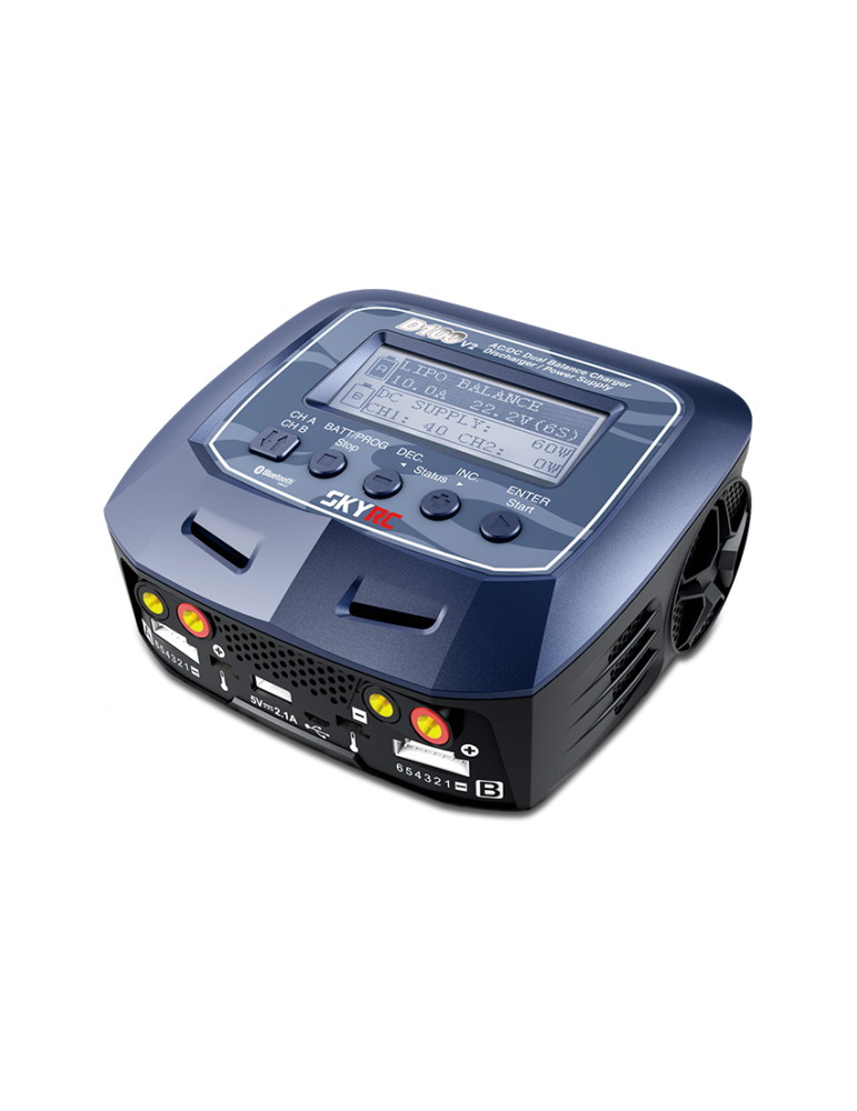 Įkroviklis SkyRC D100 V2