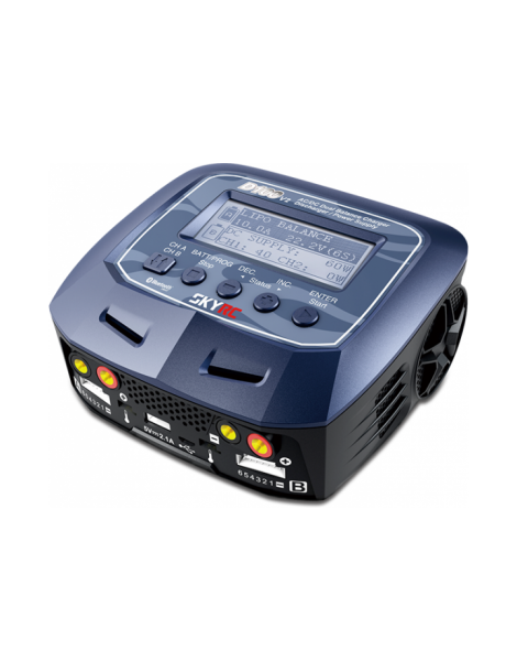 Įkroviklis SkyRC D100 V2