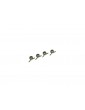 Losi Clutch Springs, Green (4): 8X