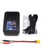 SkyRC e430 įkroviklis
