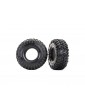 Traxxas Tires 2.2", Canyon Trail, foam inserts (2)