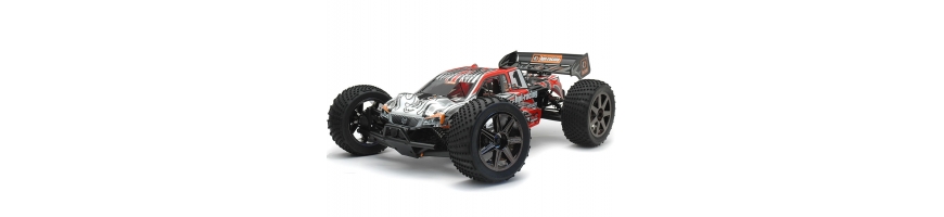 Truggy | cyborgshop.lt