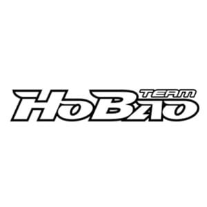 HoBao