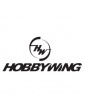 HOBBYWING car